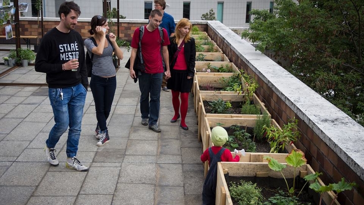 Prvá verejná strešná záhrada v meste  - POD PYRAMÍDOU Slovenského rozhlasu